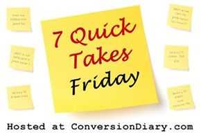 7_quick_takes_sm