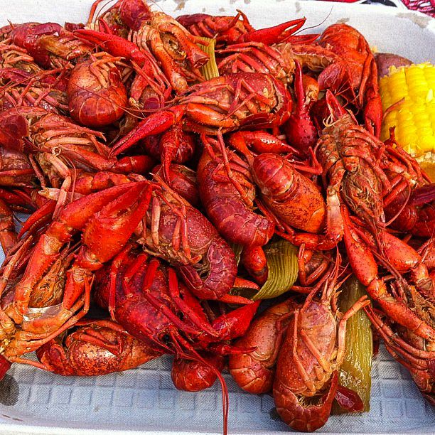 Jazz Fest and Crawfish Talk