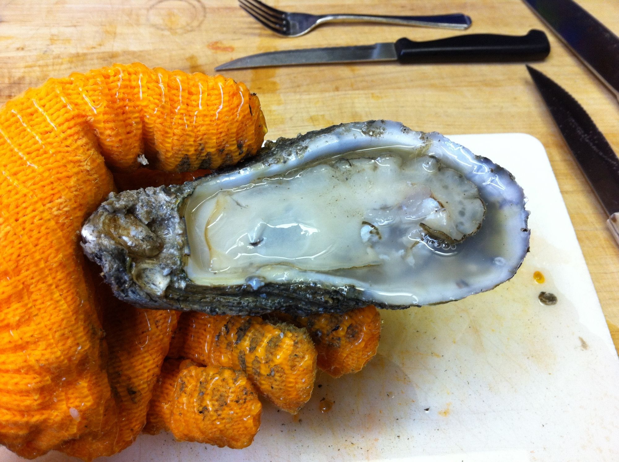 Cocktail Hour with Oysters – #SundaySupper