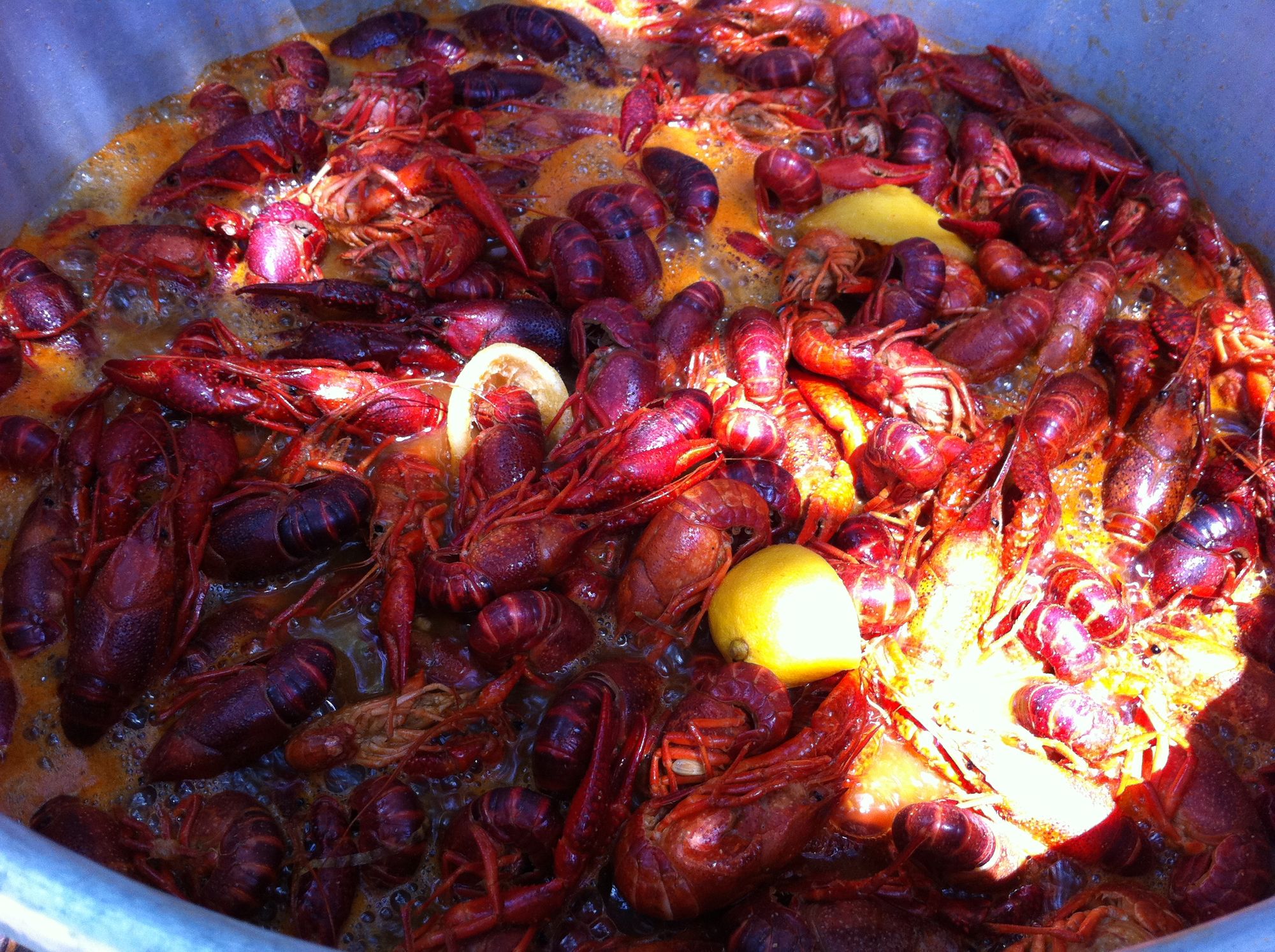 CF113 – Easter Crawfish Extravaganza