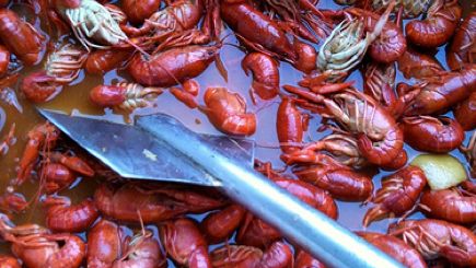 How to Peel a Crawfish