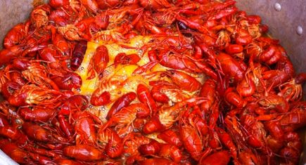 Easter Crawfish Coming Soon to CatholicFoodie.com!