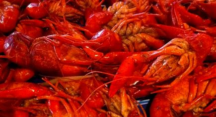 Easter Crawfish and The French Quarter Festival