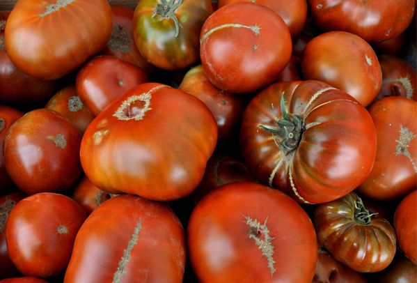 Paul Robeson Heirloom Tomato