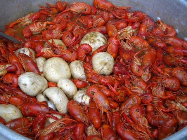 Crawfish and Easter in New Orleans