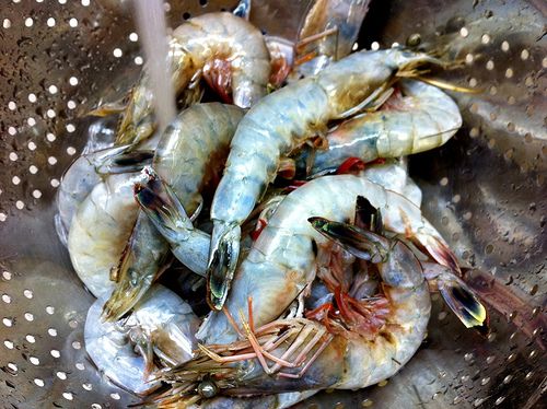 Fresh Gulf Shrimp