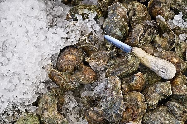 New Orleans Oyster Festival