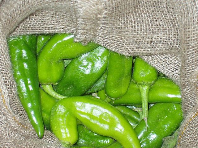 Hatch Chiles